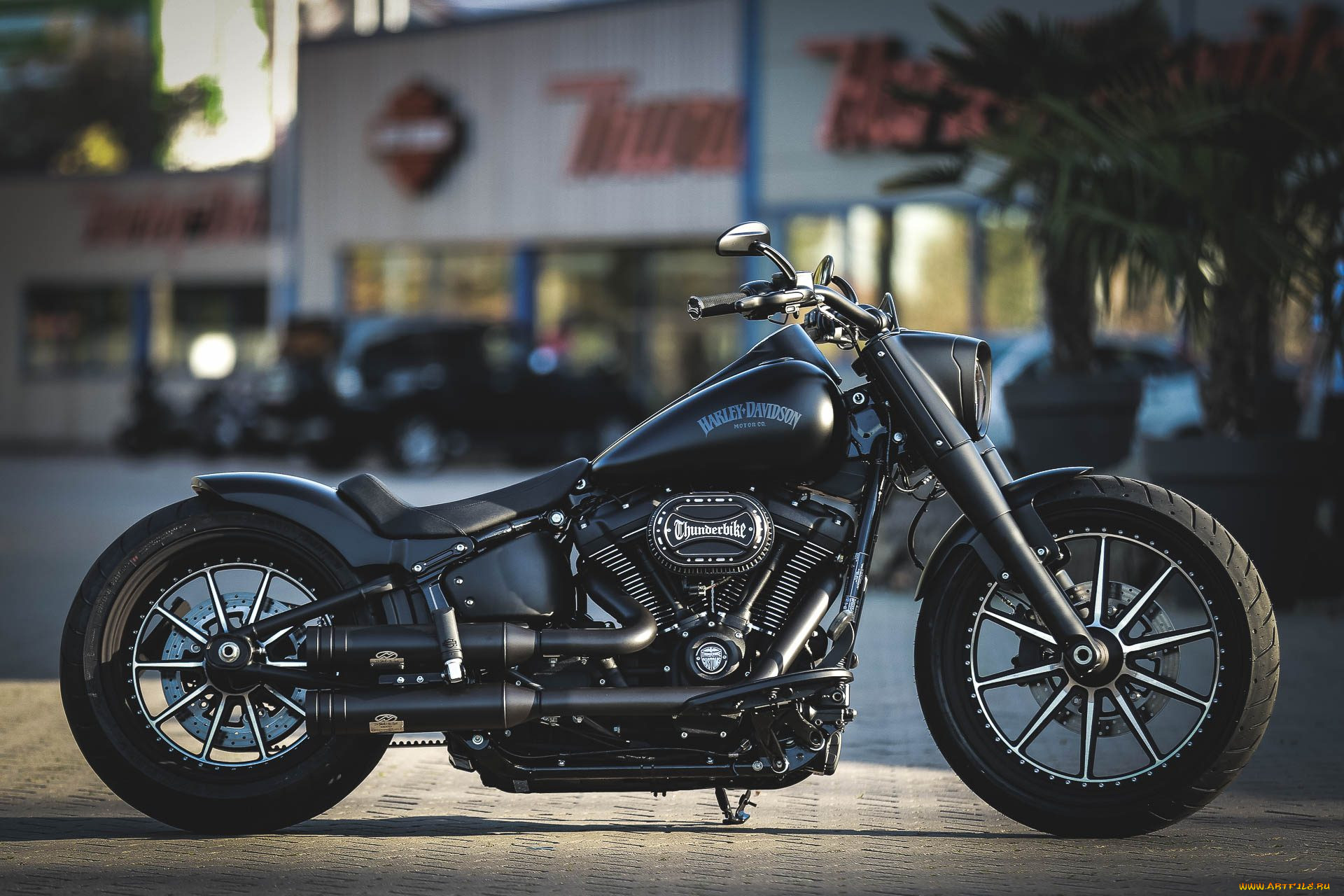 , , harley-davidson, , , , thunderbike, customs